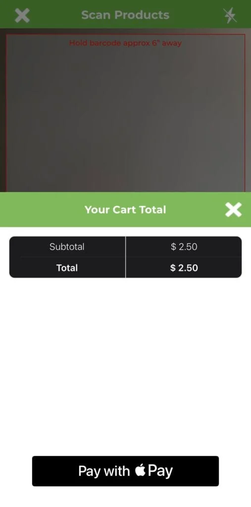 Apple Pay checkout screen